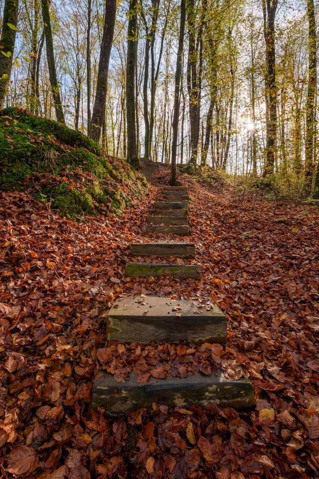 Next Step Counselling North Carolina