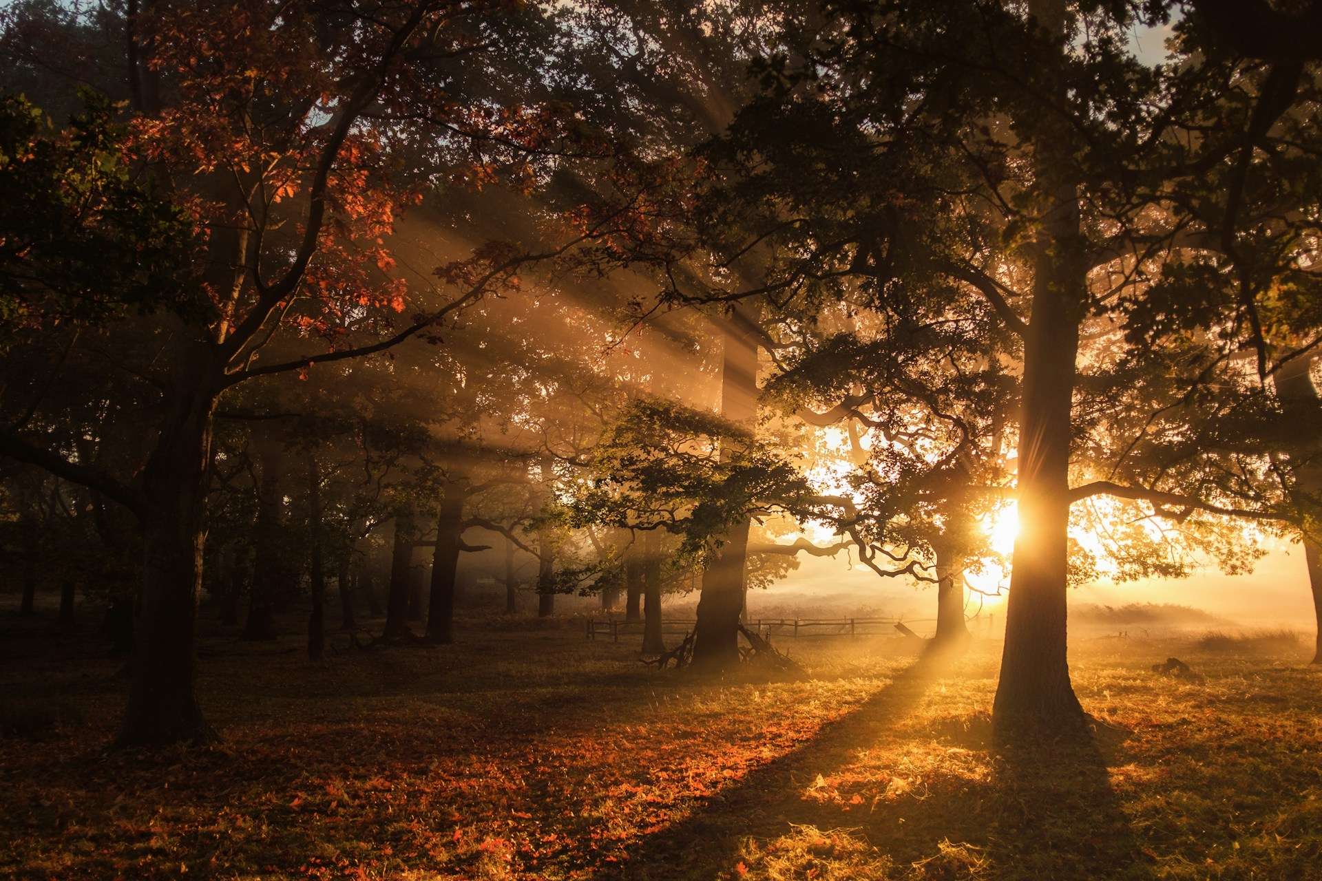 Menoapause Wellness Coaching Wilmington North Carolina